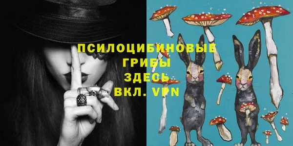 амф Кодинск