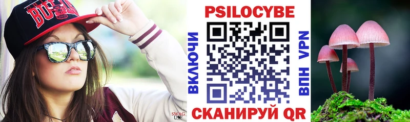 Купить где  Волгореченск  Галлюциногенные грибы Cubensis 